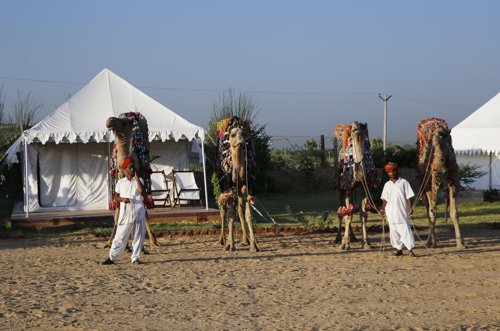 Pushkar Adventure Desert Camp エクステリア 写真